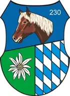 Internes Verbandsabzeichen