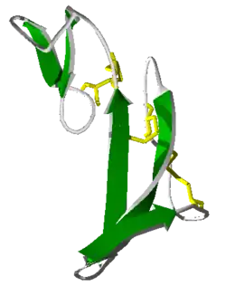 Epidermal Growth Factor (EGF)