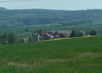 Berteroda am Westrand des Hainichs, im Hintergrund der Lohberg