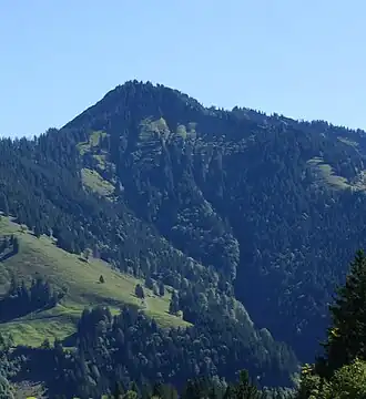 Alpkopf von Ebnit aus