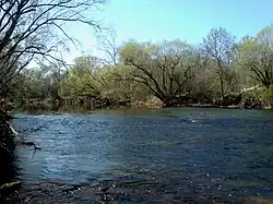 Als NSG ausgewiesene Auwälder am gegenüberliegenden Flussufer