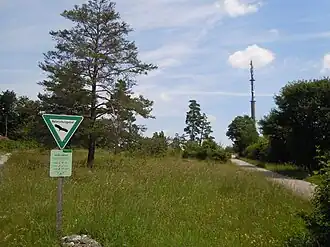 Funkmast nahe dem höchsten Punkt des Kapfs