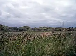 Dünen am Südstrand