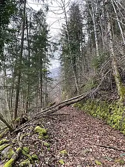 Ehemaliger Wanderweg zur Haltestation Scharfling mit entsprechender Stützmauer