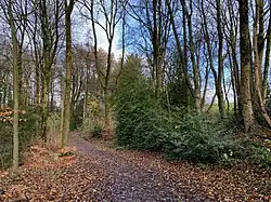 Waldgebiet Ehrenberg