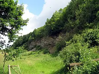 Steinbruch am Westhang des Eibergs