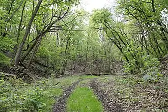 Eichberg bei Schlagenthin (2024)