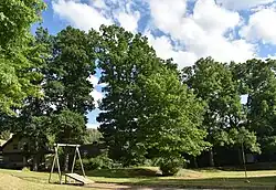 Eichen-Baumreihe am Hüttenteich