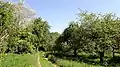 Weg von Süden, Wiese mit Apfelbäumen (2020)