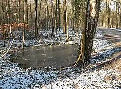 Einer der vielen Bombentrichter aus dem Zweiten Weltkrieg