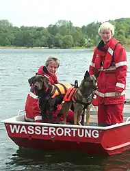 Rettungshunde