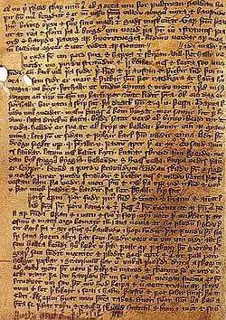 Das Foto zeigt eine dicht beschriebene Pergamentseite.