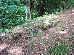 Wallreste zum nördlichen Abhang