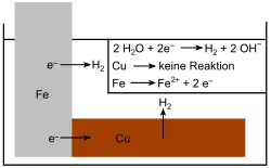 Abb. 3: Eisen und Kupferanode in wässriger Lösung