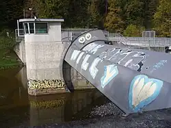 Eiswehr in der Sihl 1968