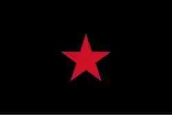 Flagge der EZLN in Mexico