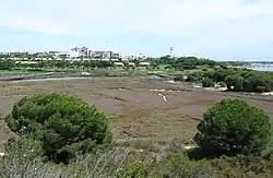 Blick vom Naturschutzgebiet aus westlicher Richtung auf den Ort