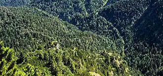 Elferköpfl vom Zwölferköpfl aus gesehen