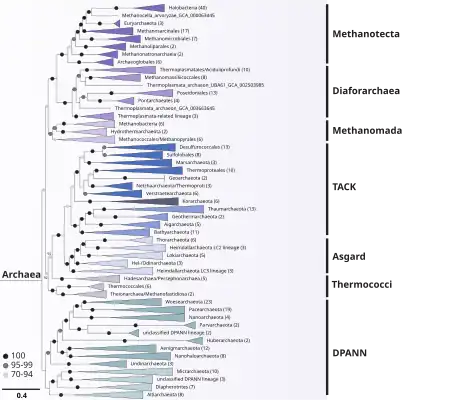alternative Beschreibung