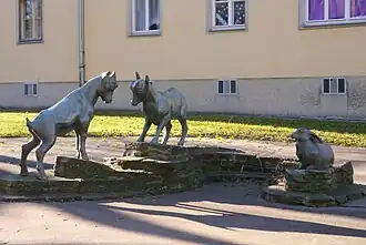 Junge Steinböcke und Hase