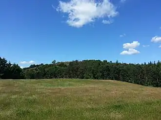 Blick auf die Kuppe von Süden.