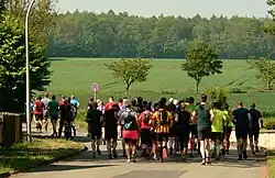 Läuferfeld kurz nach dem Start, im Hintergrund der Elm