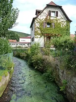 Speyerbach in Elmstein