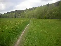 Kurz vor Adorf (Vogtland), von Bad Elster kommend, bis 2012