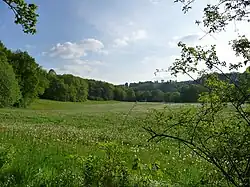 Elstertal bei Weischlitz
