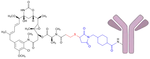 Struktur von Trastuzumab-Emtansin