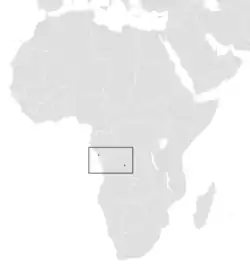 Verbreitungsgebiet von E. grandis