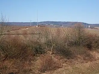 Blick über die Weinbergslage Kiedricher Sandgrub auf den Erbacher Kopf, darunter der Gebäudekomplex auf dem Hahnwald bei Kiedrich, am rechten Bildrand Burg Scharfenstein, darüber der Einschnitt in die Kammlinie bei Hausen vor der Höhe