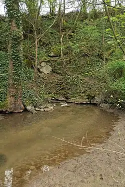 Erdbach-Austritt (2025)