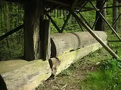 Ausgehöhlter Baum­stamm, einst im Floß­teich­damm zum kontrollierten Wasser­ablauf, Aushöhlung durch den Zapfen verdeckt