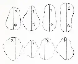 Vom Hutmacher gesammelte Kopfumfänge, Abweichungen sind technisch bedingt überbetont