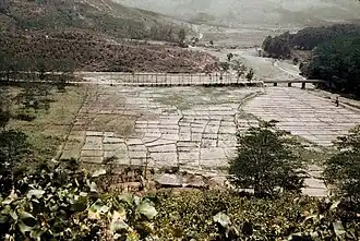 Reisfelder am Gleno, nahe dem Ort Ermera