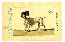 Herzogin von Kurland