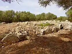 Dreikammer-Naviforme des Bereichs&nbsp;III