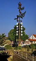 Maibaum