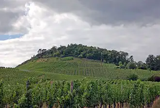 Eselsberg über Ensingen