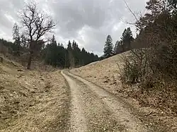 Eseltal oberhalb des Hochwasserrückhaltebeckens (2022)