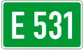 E531