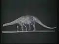 Rekonstruktion eines Brontosaurus, modellierte Gestalt