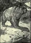 Frühe Darstellung eines Diprotodons von Alice B. Woodward. Aus: Evolution in the Past von Henry R. Knipe, 1912