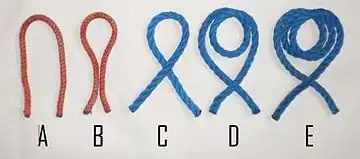 A:&nbsp;Bucht B:&nbsp;geschlossene&nbsp;Bucht (auch: Schlaufe oder Schleife) C:&nbsp;einfacher&nbsp;Törn oder Auge[3] D:&nbsp;Rundtörn (1,5facher&nbsp;Törn) E: zwei&nbsp;Rundtörns (3facher&nbsp;Törn)