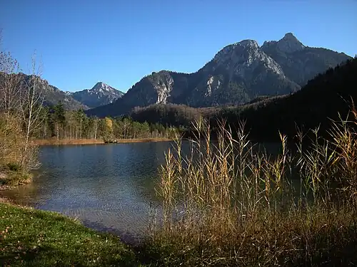 Schwansee; in Hintergrund das Säuling-Massiv mit Vieleköfpchengrat vom kleinen Säuling zum Pilgerschrofen, darüber der 12-Apostel-Grat, Gassenthomaskopf und Säulings-Älpeleskopf