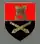 Internes Verbandsabzeichen