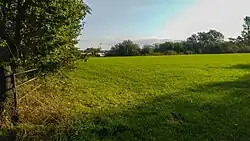 Intensiv genutztes Grünland am Gammellunder See