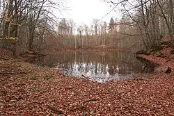 Märchensee im Leinawald