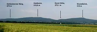 Der Wurzelbrink (ganz rechts) von Norden aus gesehen